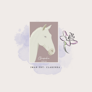 IMÁN - CLARINHA