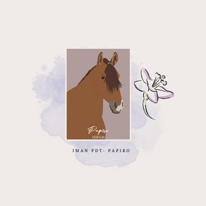 IMÁN - PAPIRO
