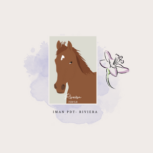 IMÁN - RIVIERA