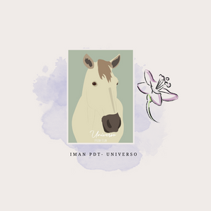 IMÁN - UNIVERSO